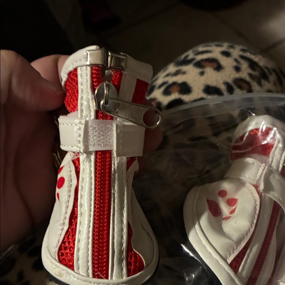 Stylish Red and White dog Shoes